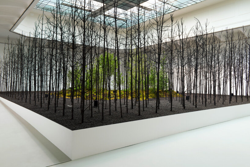 superflux speculative designs