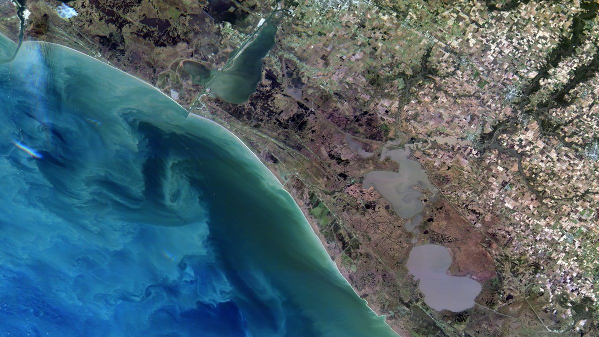 Satellite image of coastal Louisiana showing sediment plumes entering the Gulf of Mexico near river outlets, with surrounding wetlands and agricultural land patterns along the coastline.