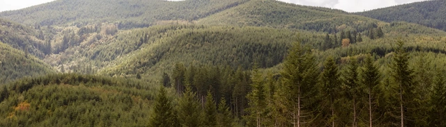 How We Do It | Weyerhaeuser