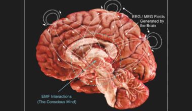 Hypothesis says human consciousness interacts with Earth's pulse