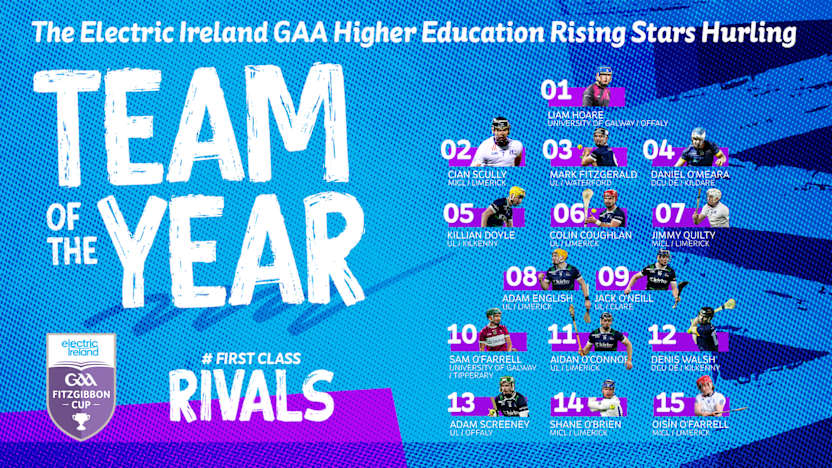 2026 Electric Ireland GAA Higher Education Rising Stars Hurling Team of the Year