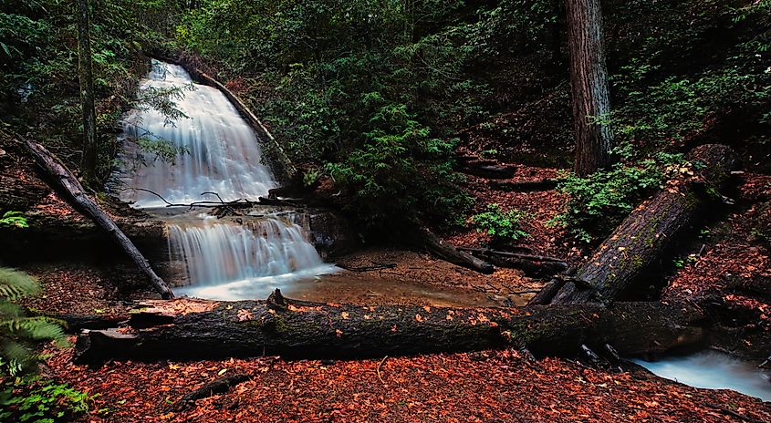Golden Cascade Falls in Big Basin Redwoods State Park.