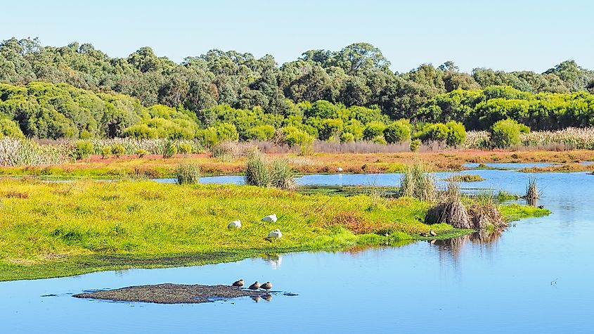 Loch McNess at Yanchep National Park, near Perth in Western Australia.
