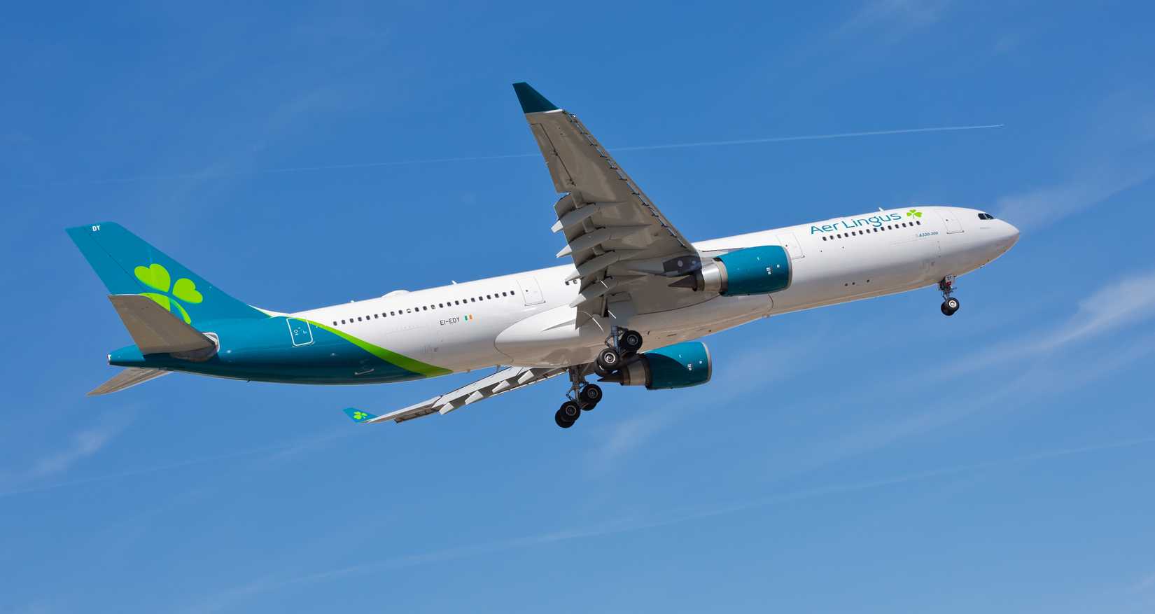 Aer Lingus A330 Inflight