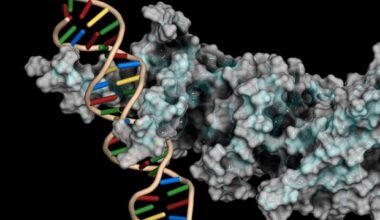 Innovative peptide stapling system targets hard-to-treat cancers