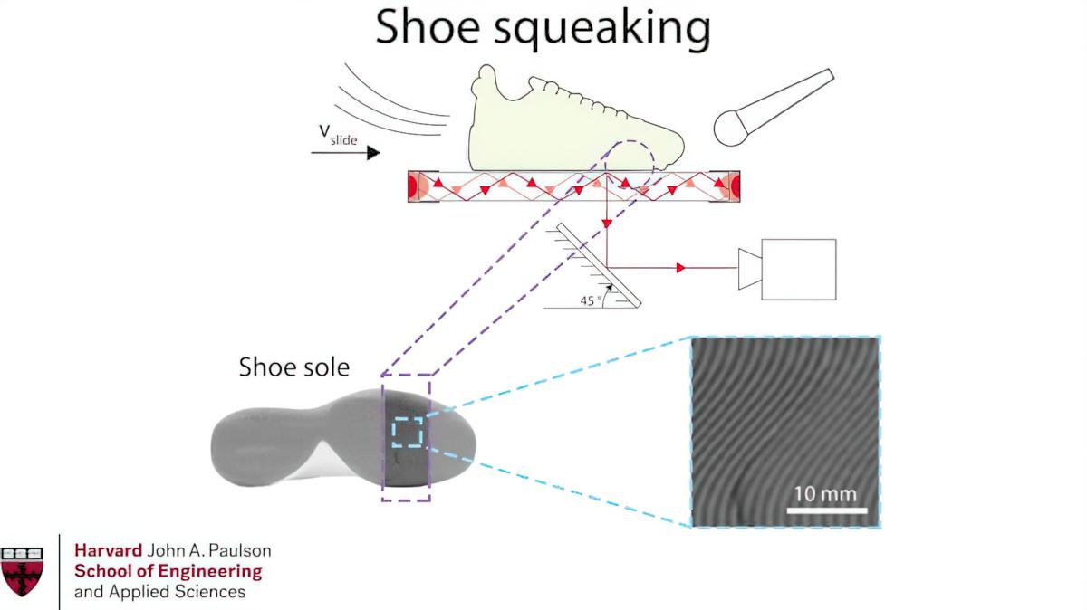 Visualization of the frictional interface when sliding a basketball shoe.