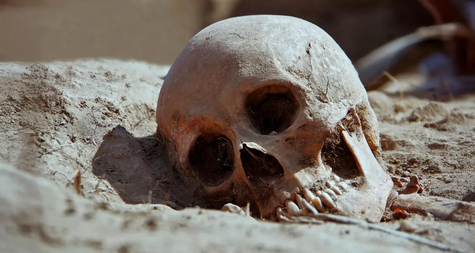 2700-year-old teeth reveal the hidden lives of Iron Age Italians