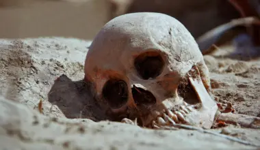 2700-year-old teeth reveal the hidden lives of Iron Age Italians