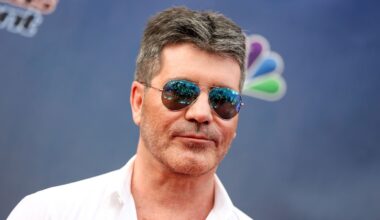 Simon Cowell was among the celebrities who had backed a campaign opposing the government's previous proposals. Pic: AP
