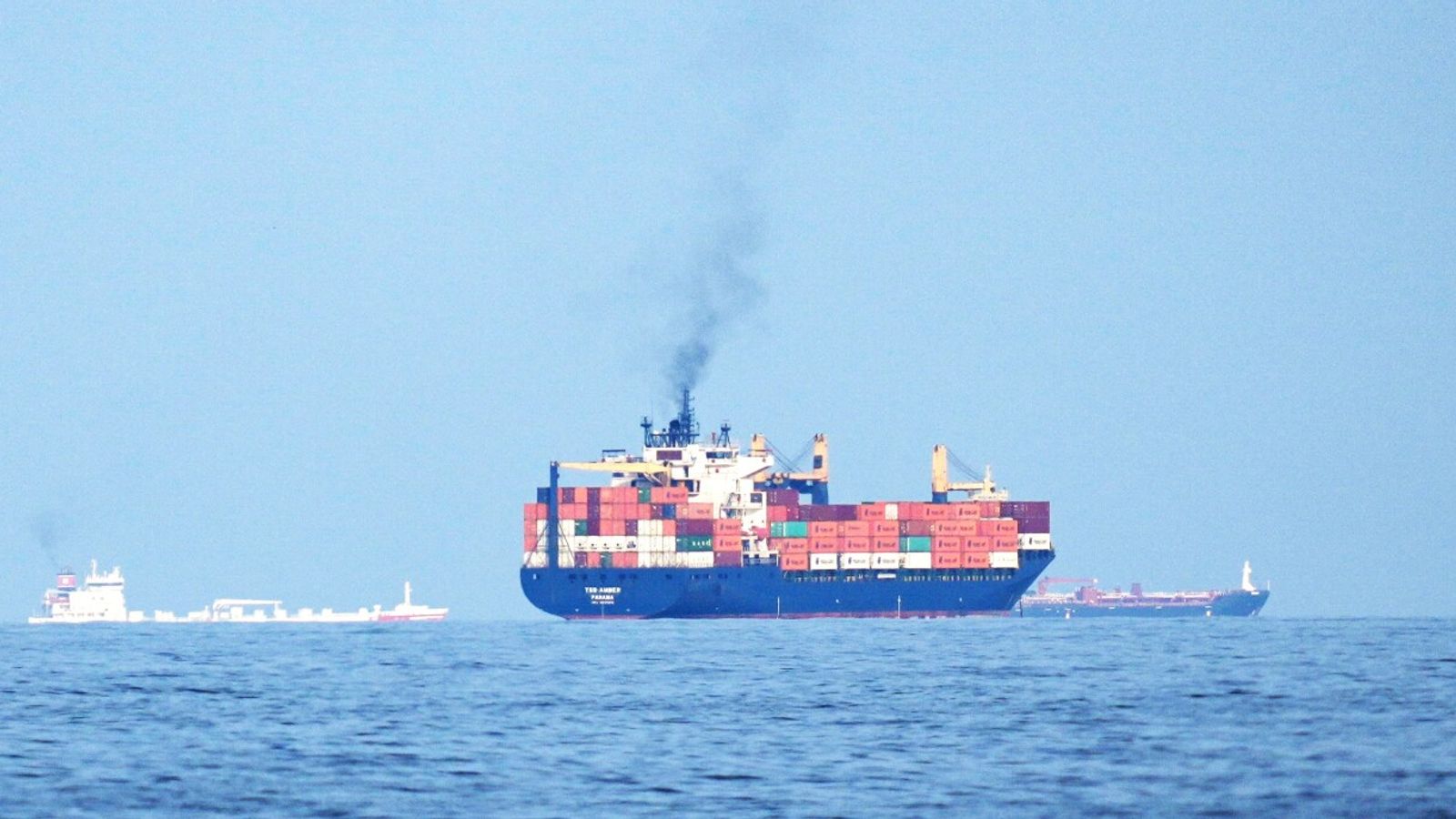 Extraordinary IEA announcement not enough to bring down oil price | Money News