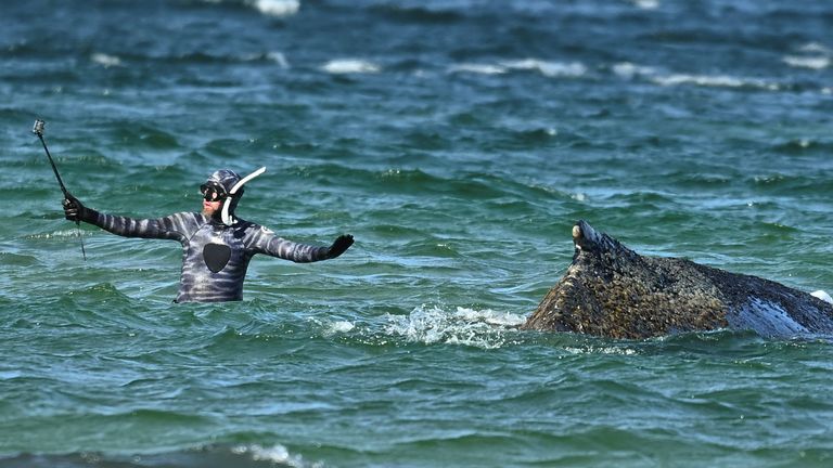 Pic: Reuters