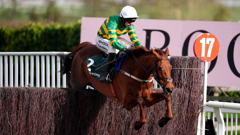 Dinoblue defended her Mares' Chase crown in style on Friday