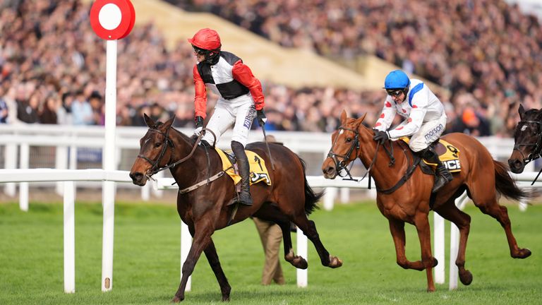 Apolon De Charnie (50/1) wins the Triumph Hurdle under Patrick Mullins