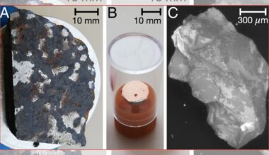 Meteorite from 1724 challenges the fundamental rules of physics