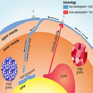Schematic representation of the process of subduction of tectonic plates and of a mantle plume rising from an LLSVP. In the latter, the mineral grains are larger than those in the subducted plates. Credit: Utrecht University