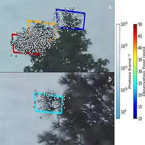 Corona UV signals observed under a thunderstorm on June 27, 2024. Approximate location of all 859 corona UV signals observed during the ∼1.5-hr observation period on a sweetgum tree. Credit: Geophysical Research Letters