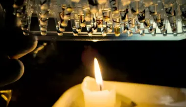 Half of Amazon insects could face dangerous heat stress