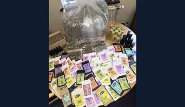 Two arrested after €229,000 worth of cannabis and THC seized in Waterford