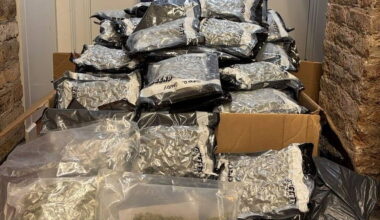Two men (50s) arrested after over €1.5m of cannabis seized in Co Dublin