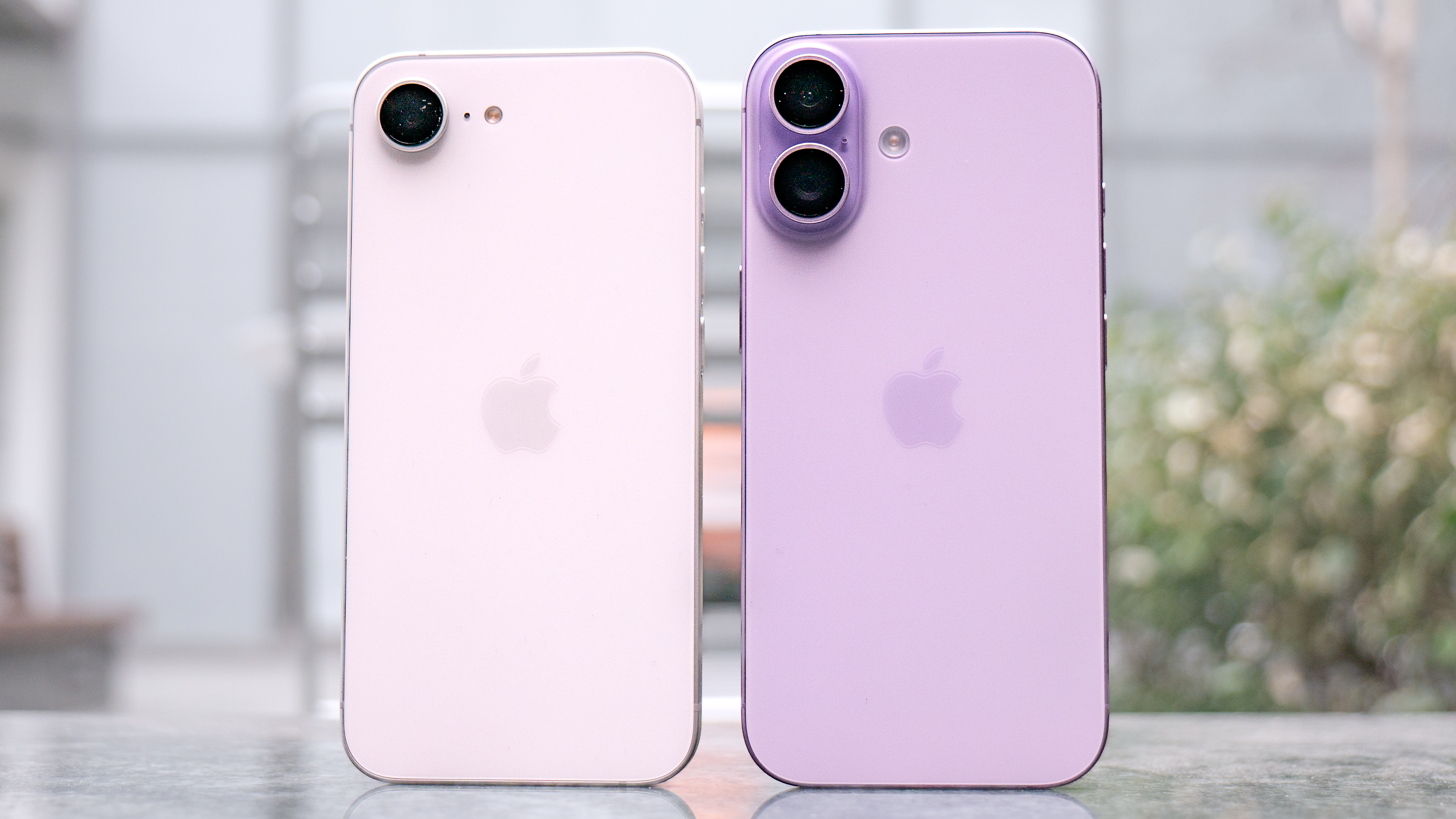 iPhone 17e vs iPhone 17 rear casings.