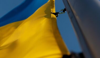 Ukrainian man (29) claimed Jobseekers allowance in Ireland while living in Scotland for seven months