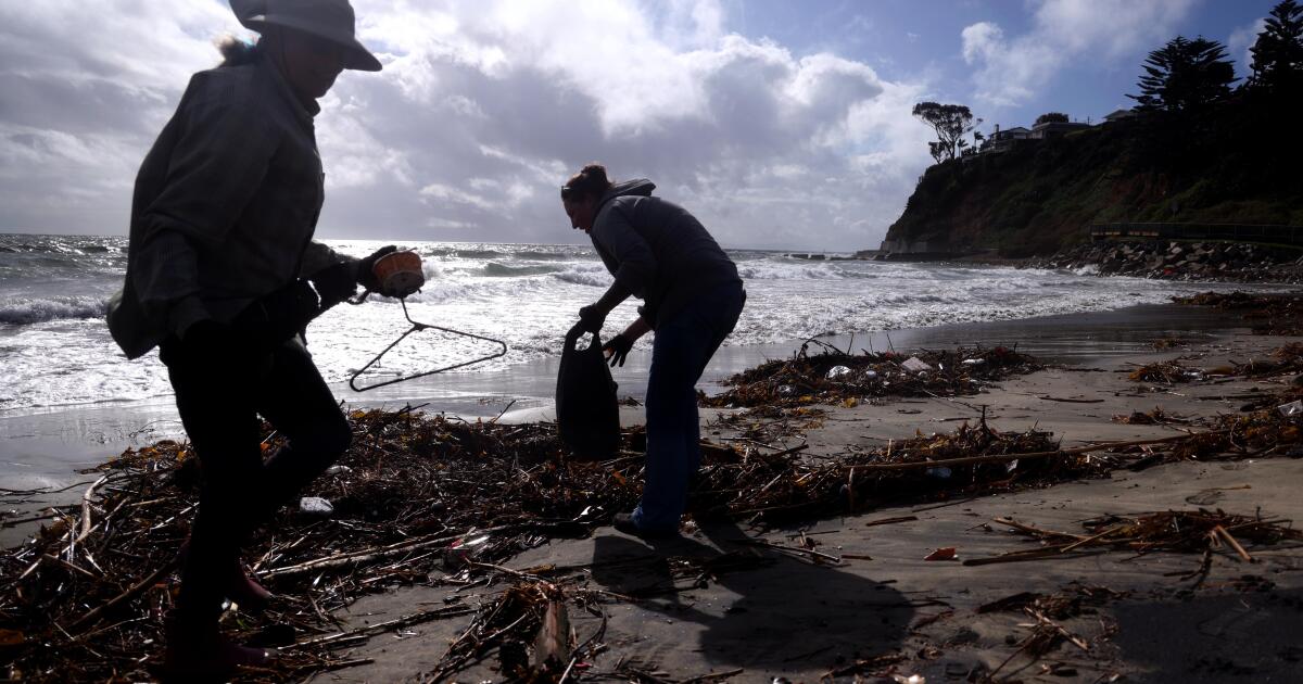 Industrial chemicals have reached the middle of the oceans, new study shows