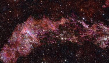 Swirling beauty of the Milky Way galaxy's heart is captured in a new telescope picture