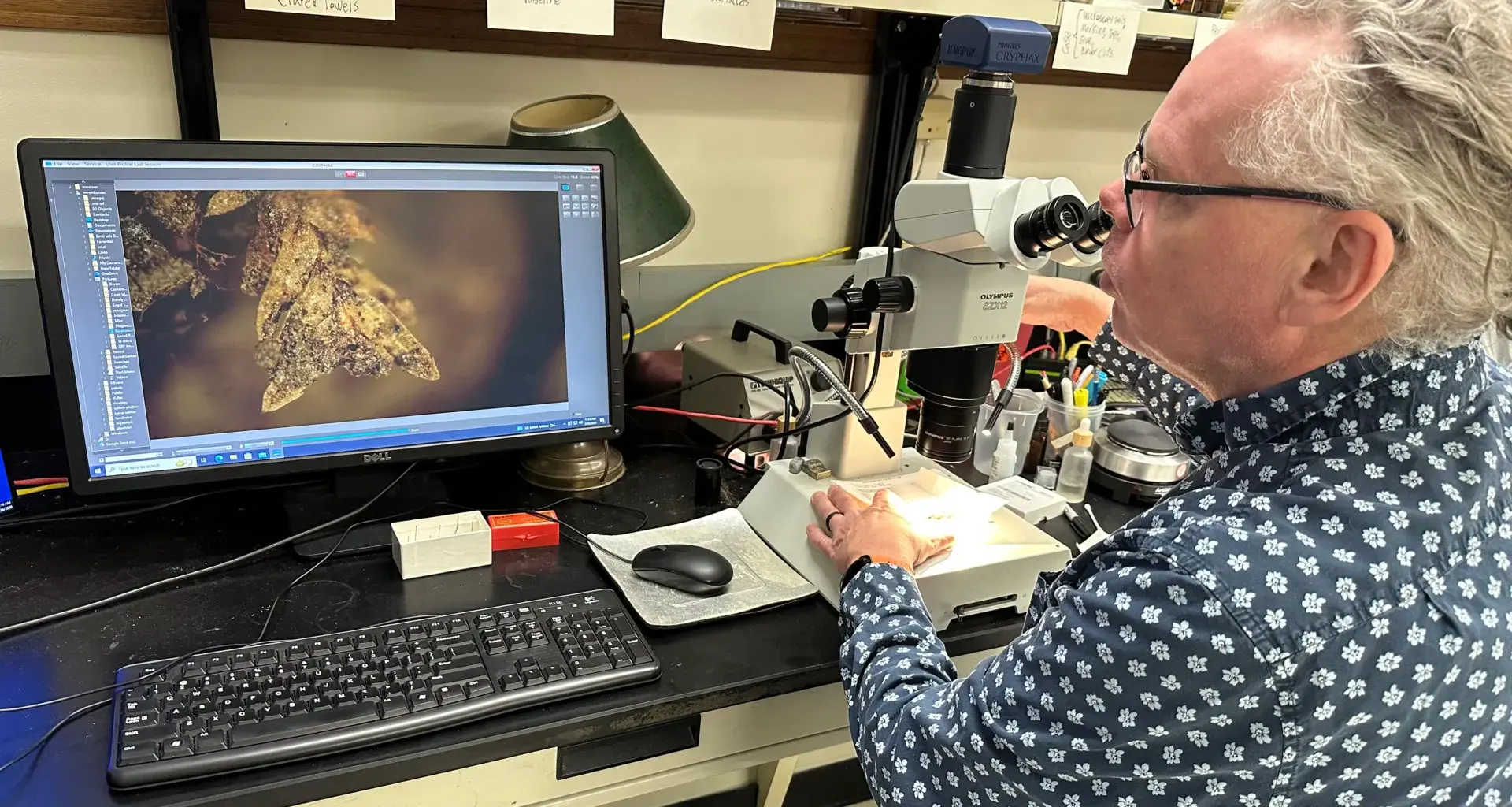 Tiny clump of moss helped solve a shocking cemetery crime