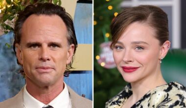 Walton Goggins, Chloë Grace Moretz Film 'Mister' Sells to Row K