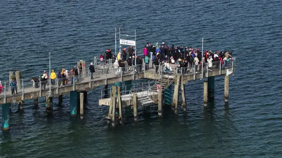 Die Seebrücke in Wendorf am Sonntagnachmittag. | Screenshot/NDR Zahlreiche Schaulustige auf der Seebrücke im Wismarer Stadtteil Wendorf.
