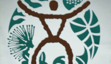 Health officials confirm measles case in visitor to Hawaii