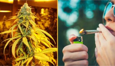 Doctor reveals impact smoking weed can have on your brain
