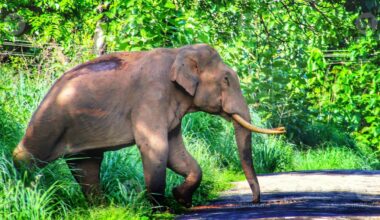 Representational Image: Manorama Archives