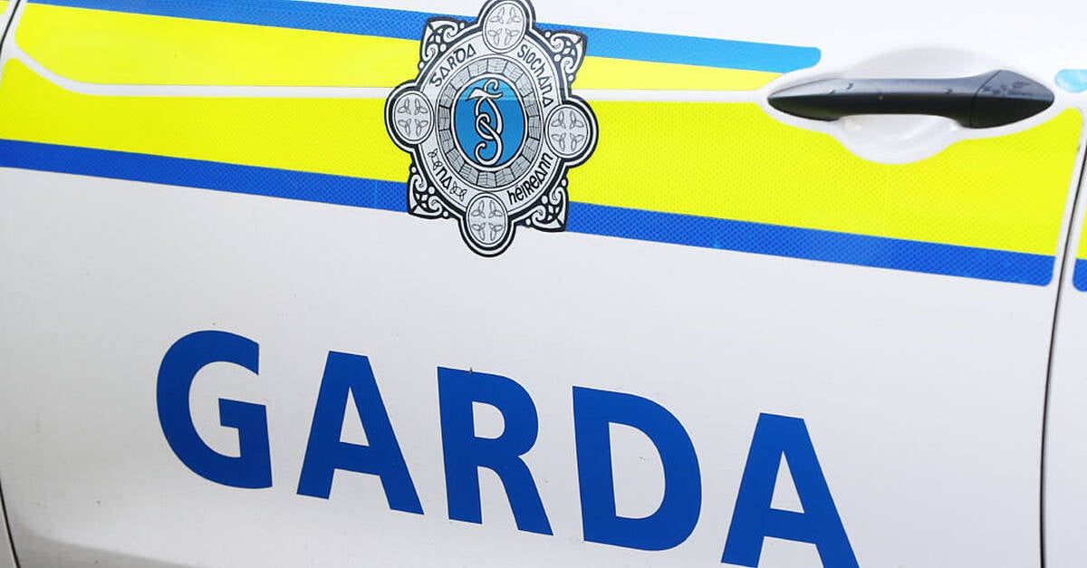 Woman (20s) fighting for life after suffering serious head injuries in apparent assault in Co Tipperary