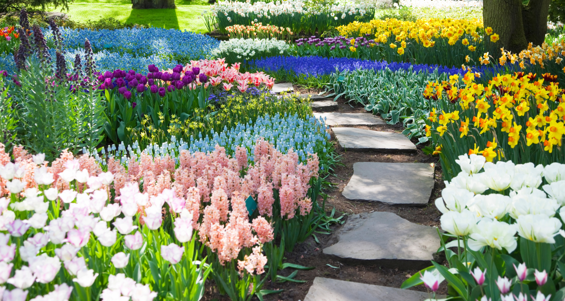 Your Doctor May Soon Give You a Depression Prescription Straight Out of the 1800s