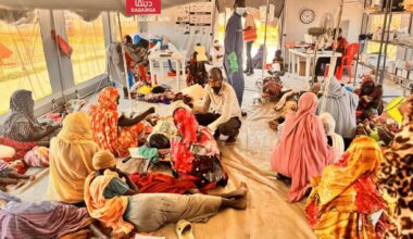 Sudan declared ‘cholera free’ amid rise in dengue, malaria, measles