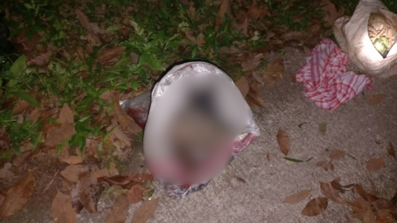 Two men nabbed for porcupine poaching in Nakhon Si Thammarat