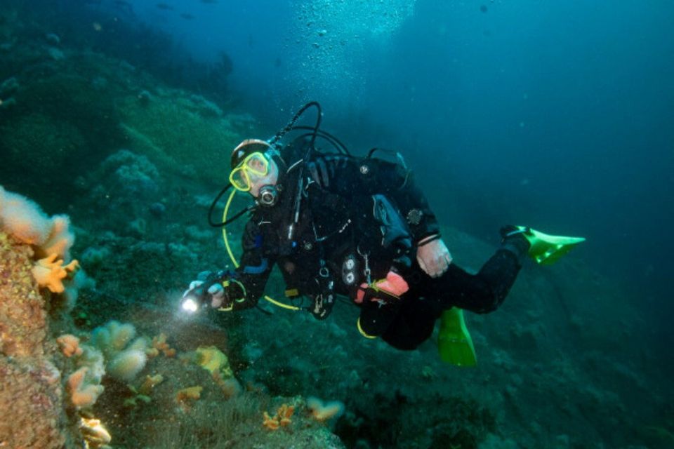 Diver image is by Ciaran Ó Murchú.