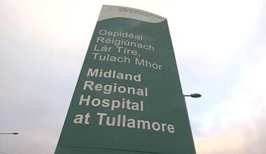 Man in his 30s dies in hospital following Longford crash