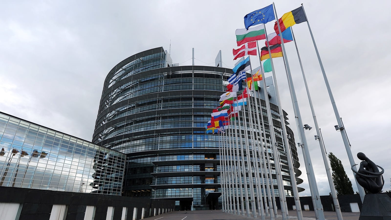 European Parliament backs campaign introducing Coco's Law