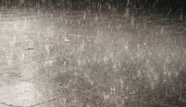 Yellow rain and wind warnings for eight counties