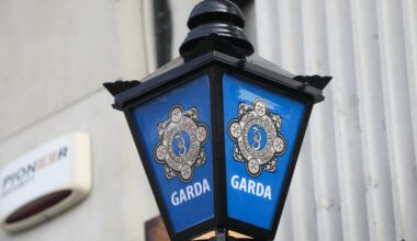 Woman, 80s, dies in single-vehicle crash in Co Dublin