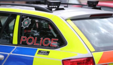Man held after crossbow attack on police in Co Down