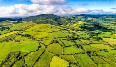Ireland requires €700m annually to restore nature, report