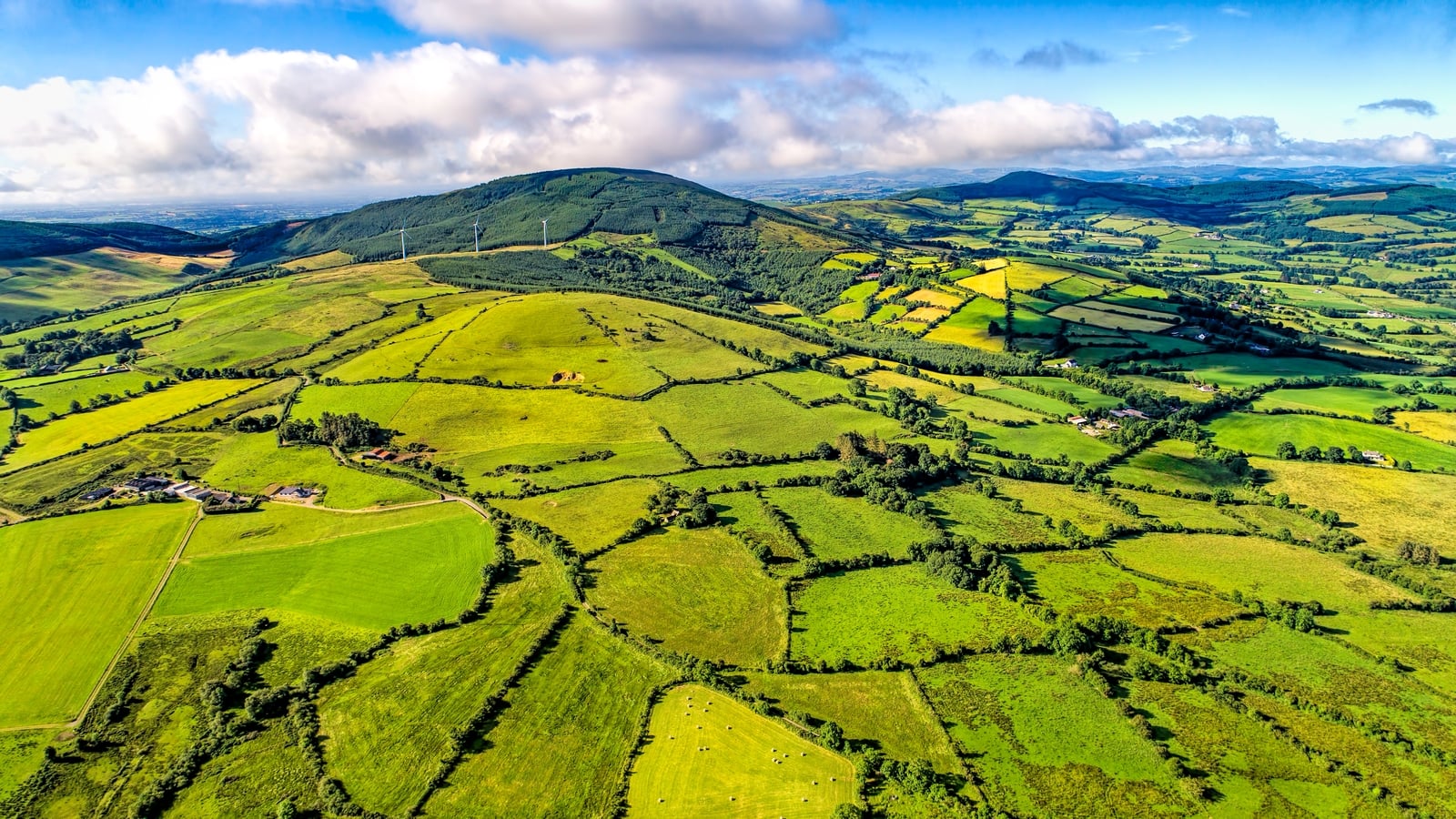 Ireland requires €700m annually to restore nature, report