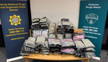 Two arrested after €1 million cannabis seized in Co Louth