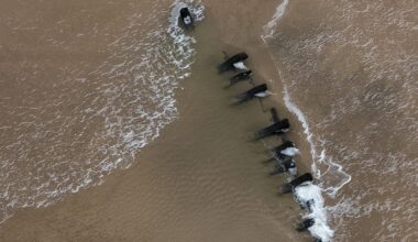 Mystery over Donegal shipwreck may soon be solved