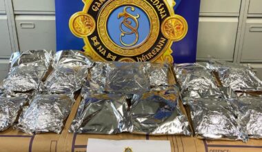 €830,000 worth of drugs seized in Dublin