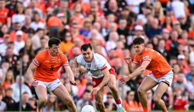 All you need to know