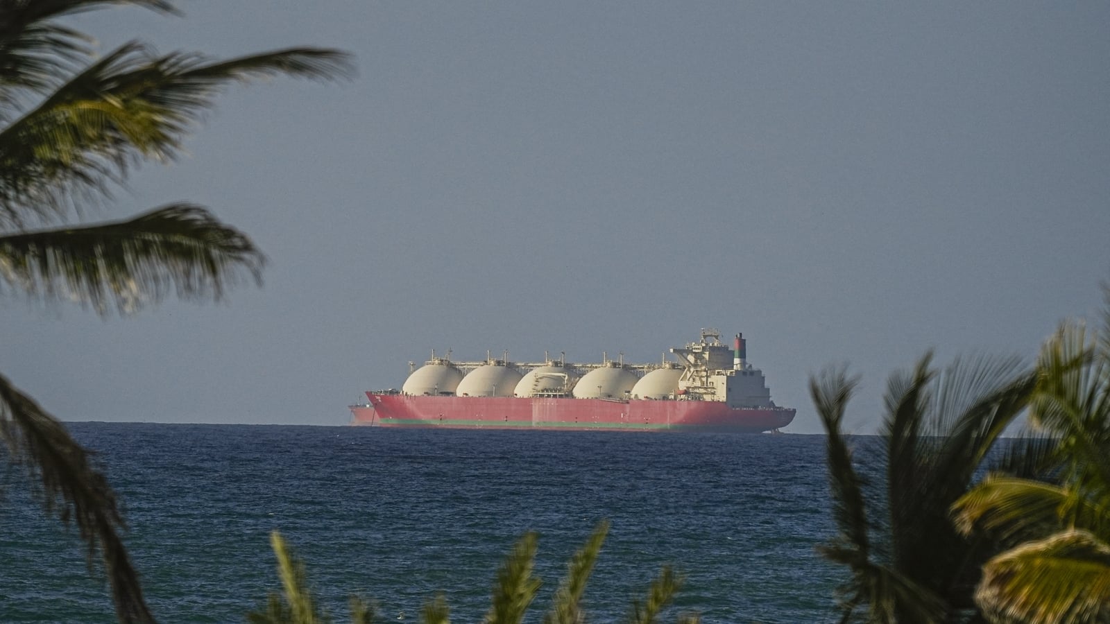 Oil up on reports container ships in Hormuz fired on